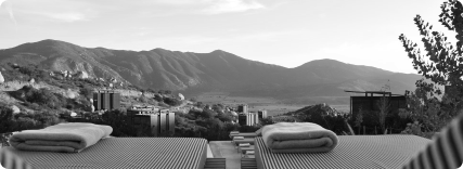 PPC for HoReCa Company – Profit Went Up By 315% in Five Months